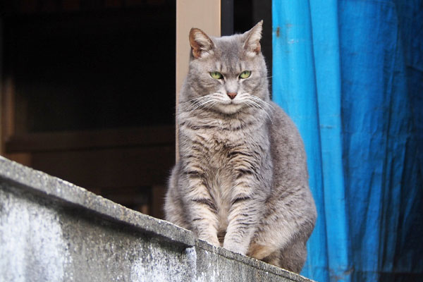 シピ　1枚目