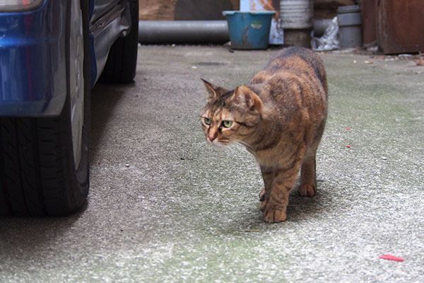 遠くを見る　あき