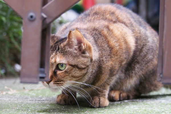 穏やかな顔　あき　片目