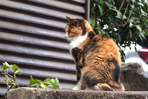 ひとりでじっと待っていた　オトワ