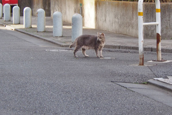 出てきた場所を振り返る　グリ