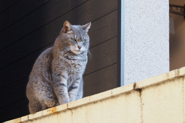 すーんと前を向く　シピ