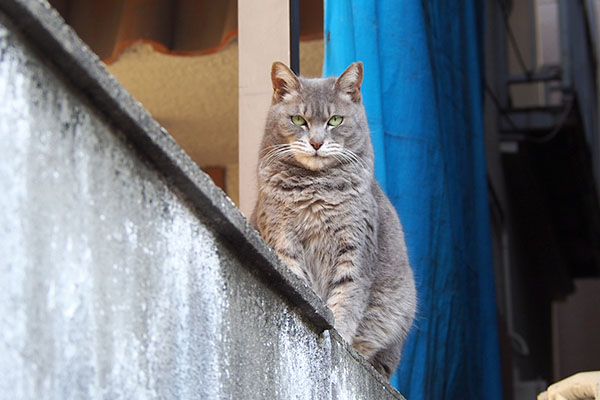 逆側からシピ　綺麗