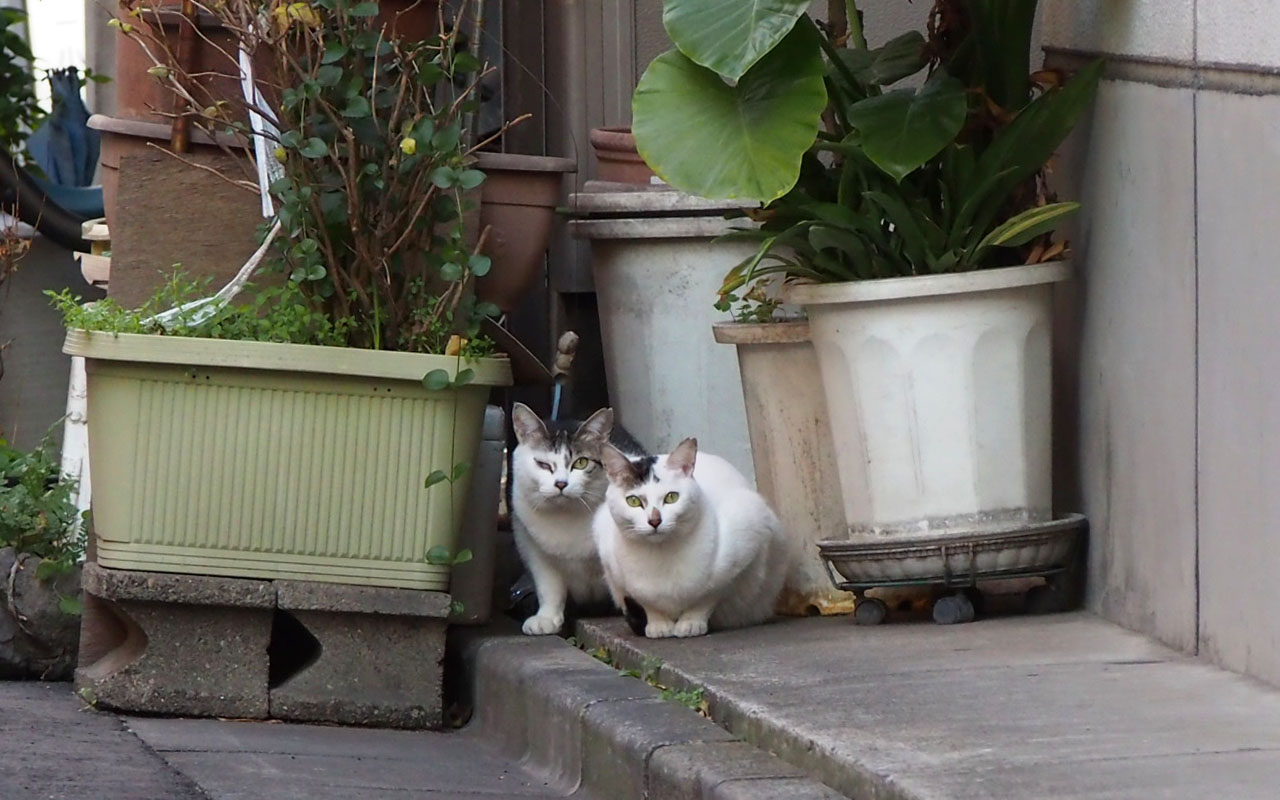 mother Kei and daughter Aurora