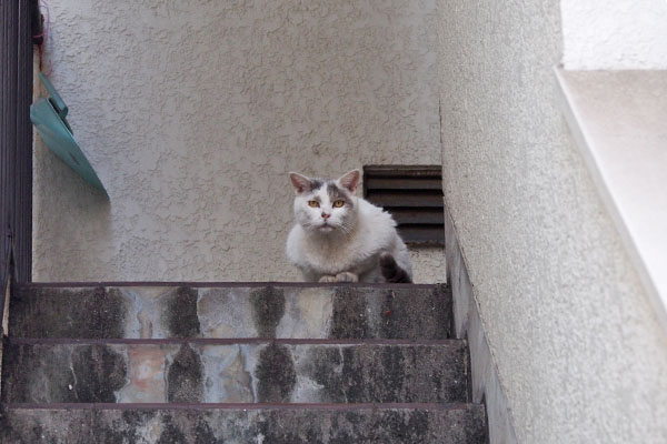 ジュリ　上の方を見てた