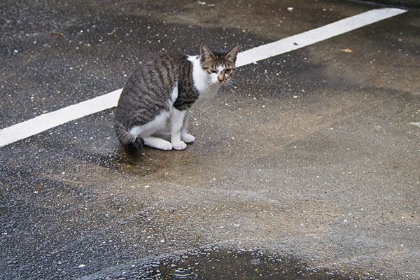 コーちゃん　ママそっくり