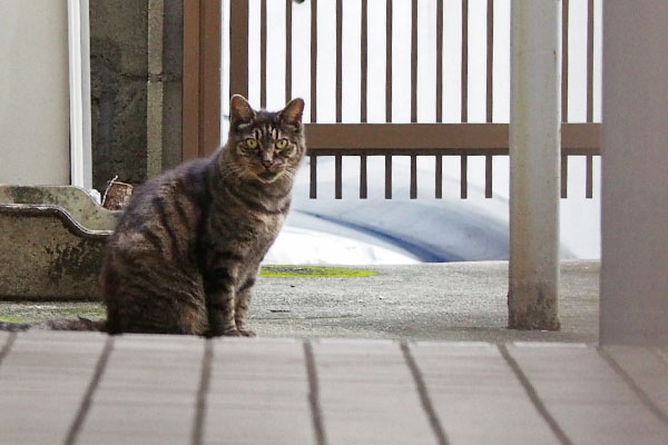 少しお出掛け　マール