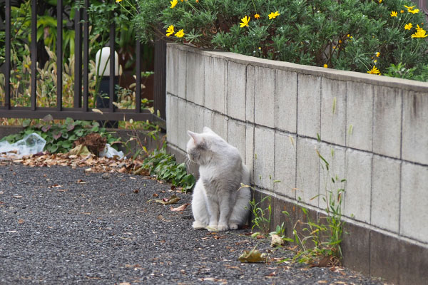 再び振り返る　ライト