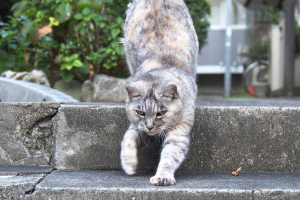 階段で伸びする　銀