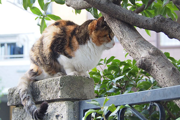 オトワ　お世話宅を見つめて