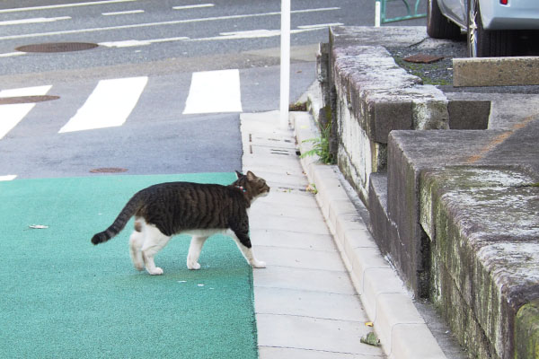 目の前にリオ君