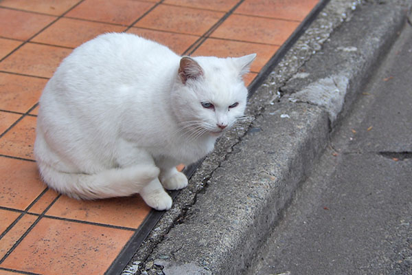 移動した　リリ