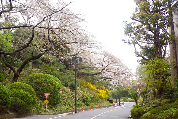 春の道