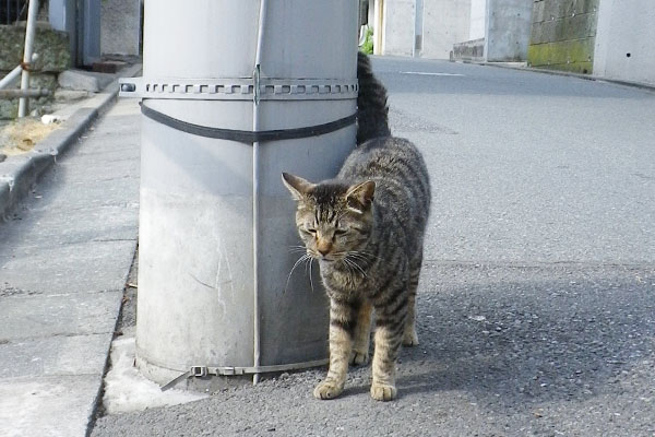 いじいじタビワンのアップ