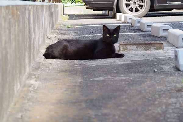 くーちゃんびっくり顔