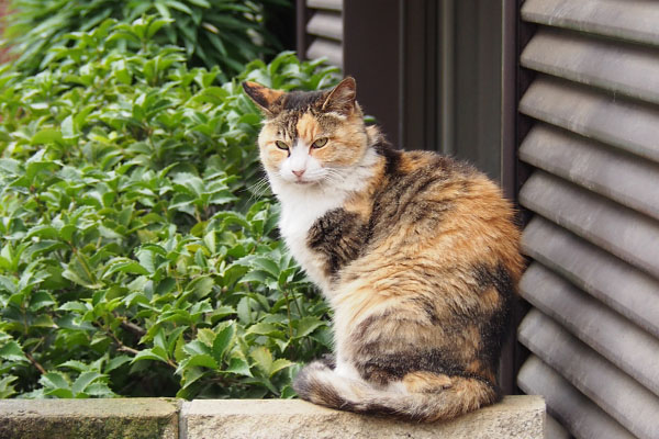 オトワちゃん初