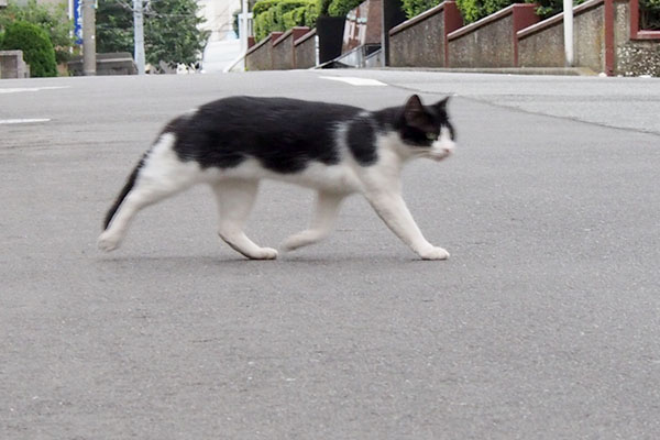 左からなかむらさんちを目指す