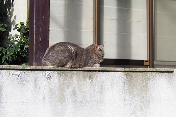 シピ温め中