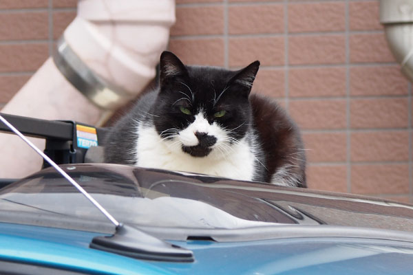 タクちゃん車の上