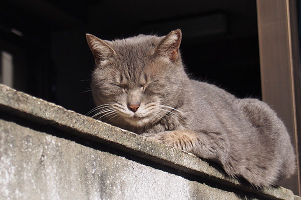 目をぎゅっと閉じてシピ