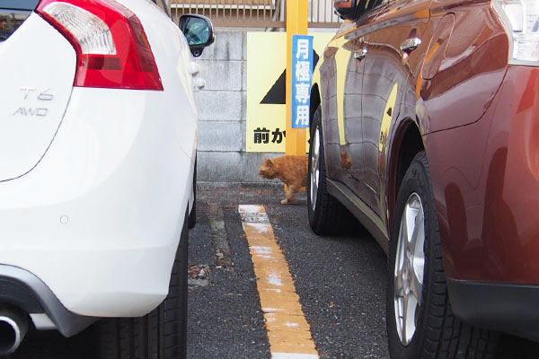 コルレ駐車場を通過中