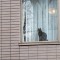 1st_windowcat