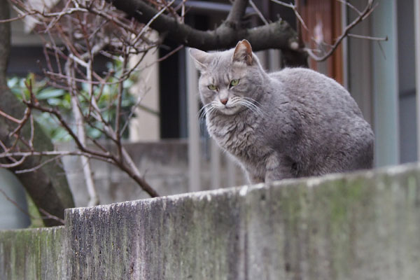 シピ発見