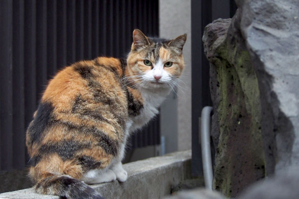 オトワちゃん振り返る