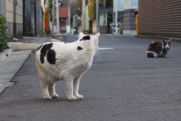 姉にゃんを見る坊