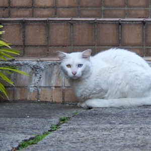 シュニちょっとアップ