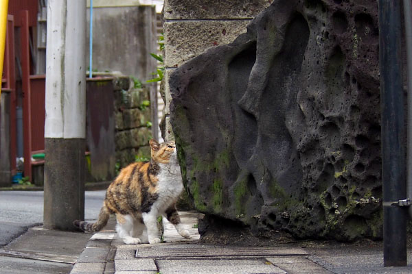 ジャンプ寸前のオトワ