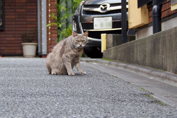 guri watching me