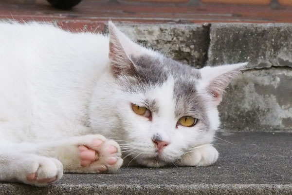 ジュリさんアップキュート