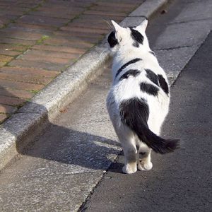 後ろ姿がいつもカッコイイ坊