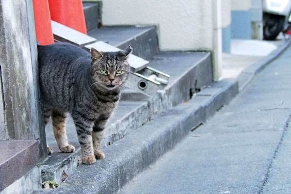 タビッツジッと見る