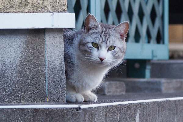 怪しむ目でクロム