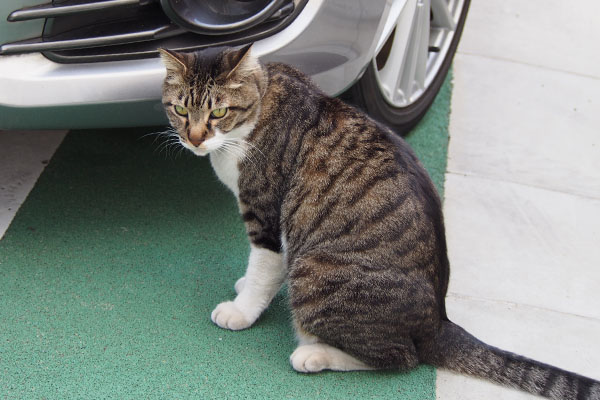 車の前でリオ