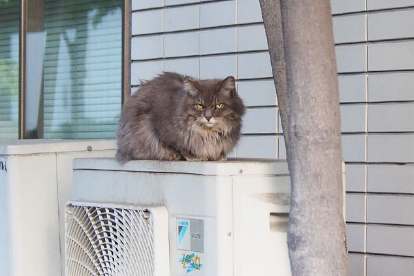 maru camera eye