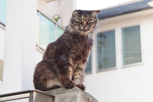 mofukiji duty on house guard