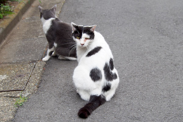 turn around Bou cured his back