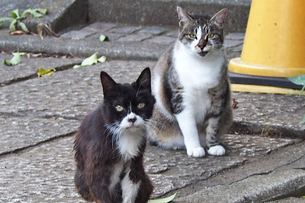 Kara and Shizuku waiting