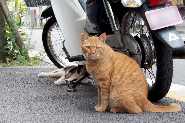 kabu and riko in fron of bike