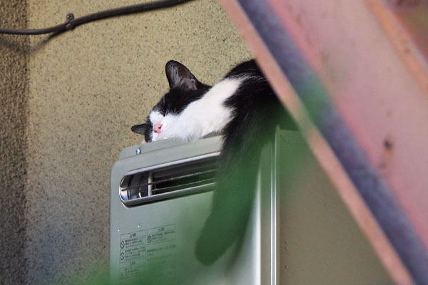 nicole sleeping on the water heater