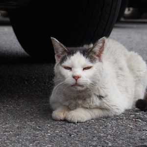 すーんと見る テン