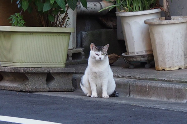 kei waits her daughter homing