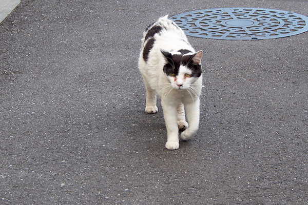 坊　ボサボサの背中で来る