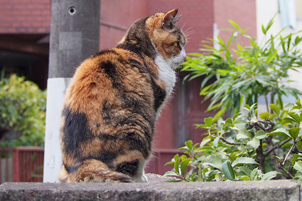 Otowa waiting food serving