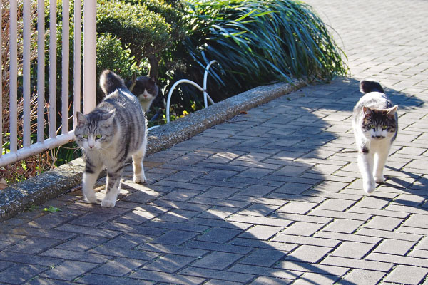 クロムとタンタルが制圧中