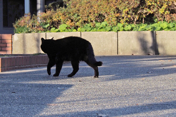 順路へ戻る　ＢＢ