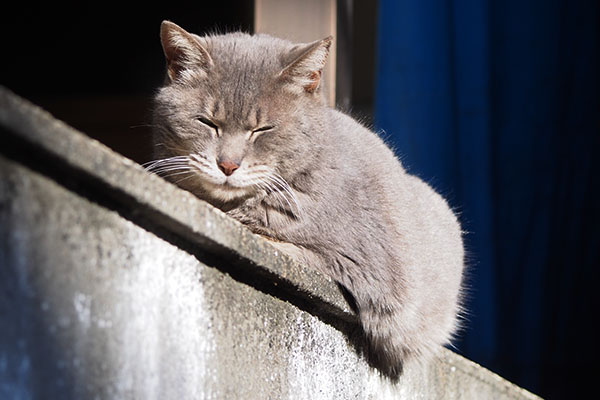 眠くて眩しい　シピ